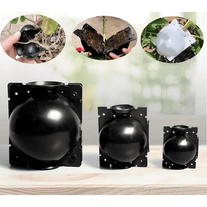 CloneMaster Pods | Snel wortelende kweekbollen voor planten